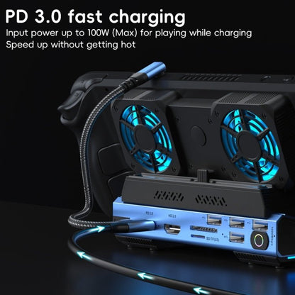 YCE - V279 10 in 1 USB - C Gaming Dock Station Hard Disk Enclosure with Detachable Fan, 10 in 1 - ORIWHIZSteam Deck AccessoriesSteam Deck Accessories Other AccessoriesToys & Hobbies